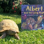 Photo by ALBERT the tortoise® (@AlbertTortoise)
