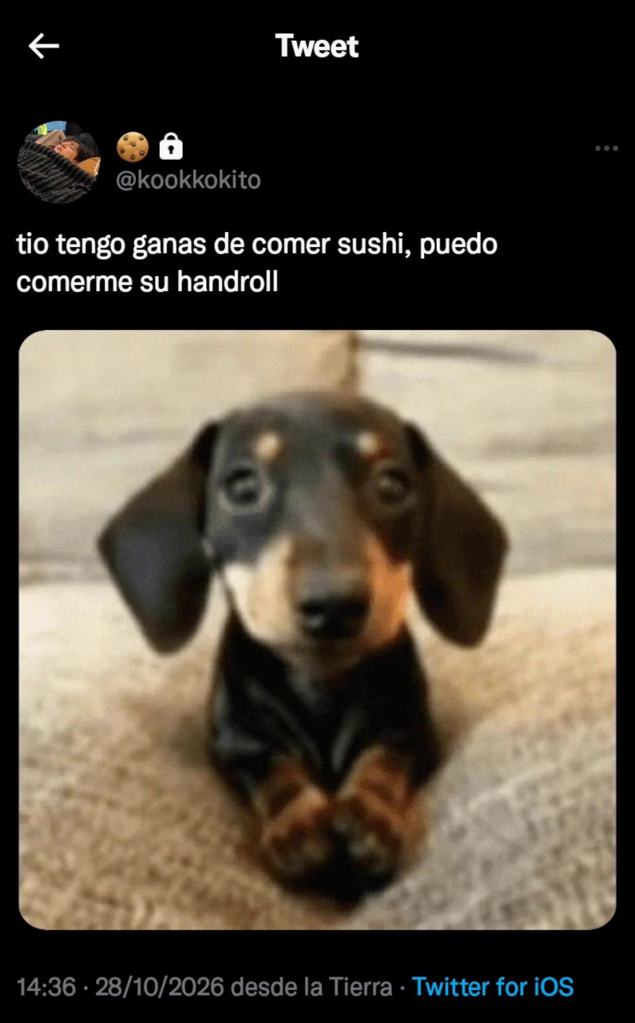 Dae 🌭 on X: ": 01" / X