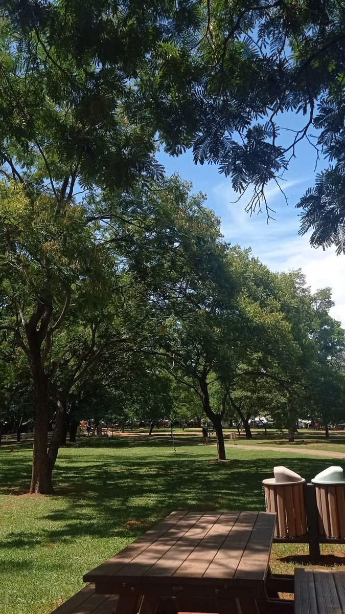 Ambarlithos's tweet photo. 𓂃 ࣪˖　📖 ׅ 𝗏𝗅𝗈𝗀 ׄ Lithos　🦕

Hoje decidi que iria ao parque, então peguei a Bubu, resolvi levava para dar um passeio além do quintal da minha casa, acho que ela amou. https://t.co/wtuiMyAhRK