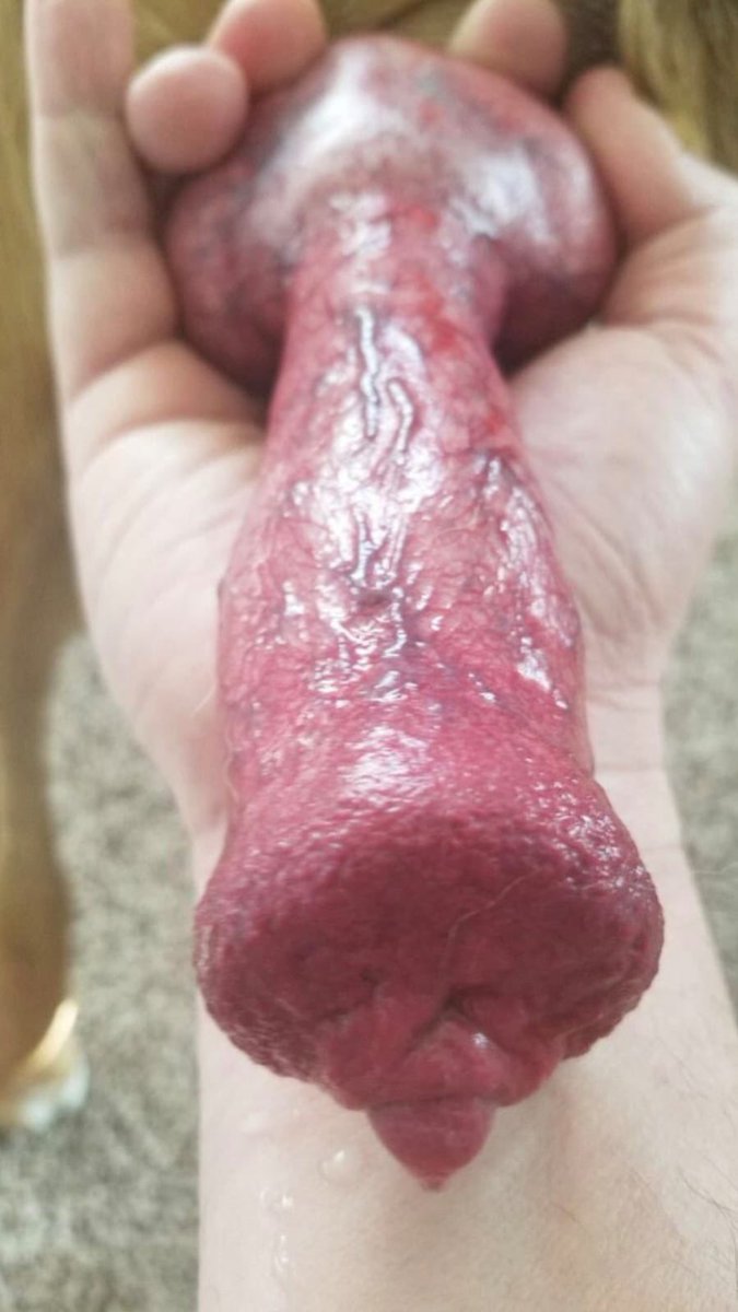 kinkAmeliaK9's tweet photo. Get my erotic🐾 K9 clips to tease and make you feel good as fuck 💋🥵🥶 https://t.co/NmQeMAibJj