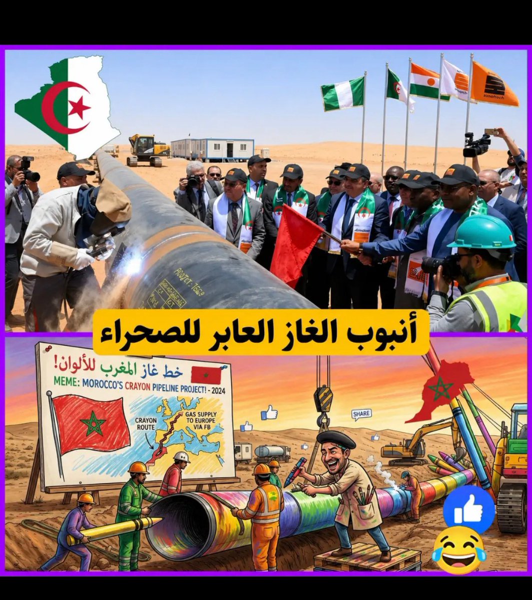 aekblama11's tweet photo. @ASedoug50903 @NoureddineMaji @Aziz_1710 ههههه 😂🤣🤡🇲🇦💩 أأغبى من المروكي 🇲🇦 ما رأيت https://t.co/sEzugpcbIk