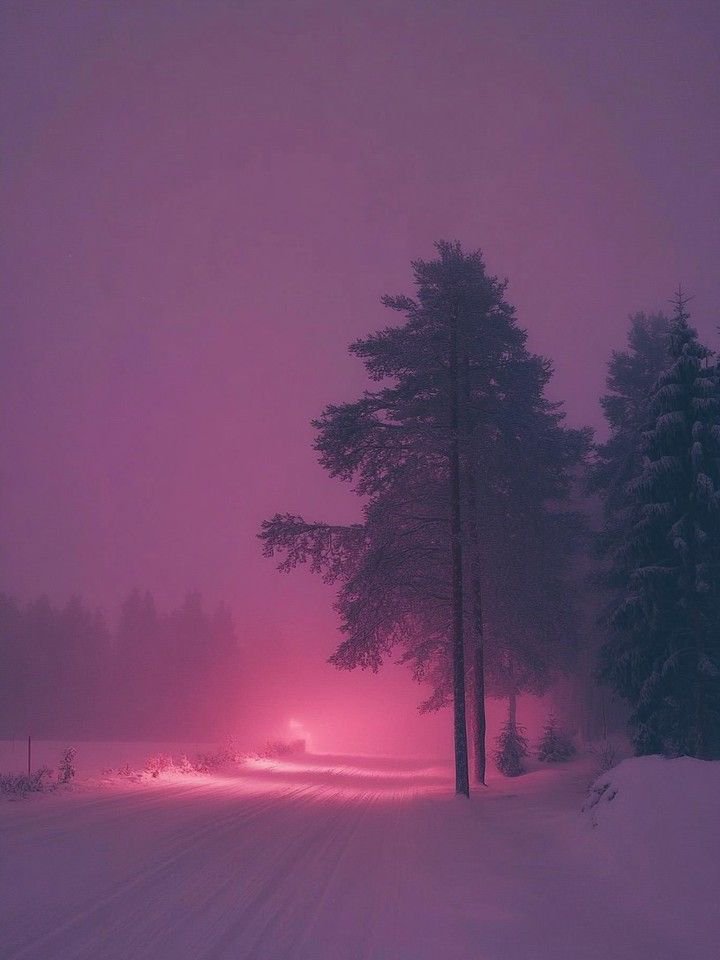 natureaest's tweet photo. Winter and silent roads https://t.co/OqhKqJRC35