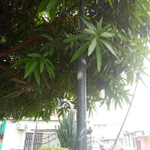 Photo by 181 Responde (@181Responde)