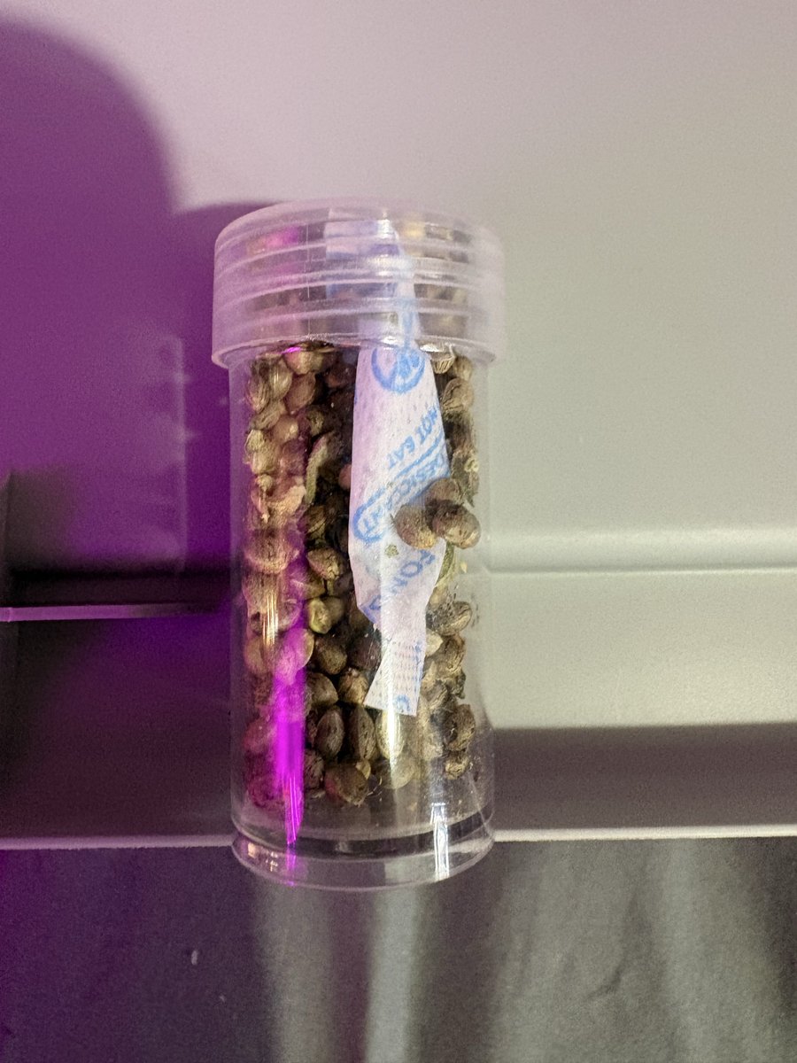 DarkMindz26's tweet photo. Question for the old heads out there!? 
Is this a good way to preserve my genetics or will the desiccant packet suck out too much of the moisture? They’ve been drying for a month now and are ready to pack. This is how I’m packing them is it ok? https://t.co/kIGcYOM7qV