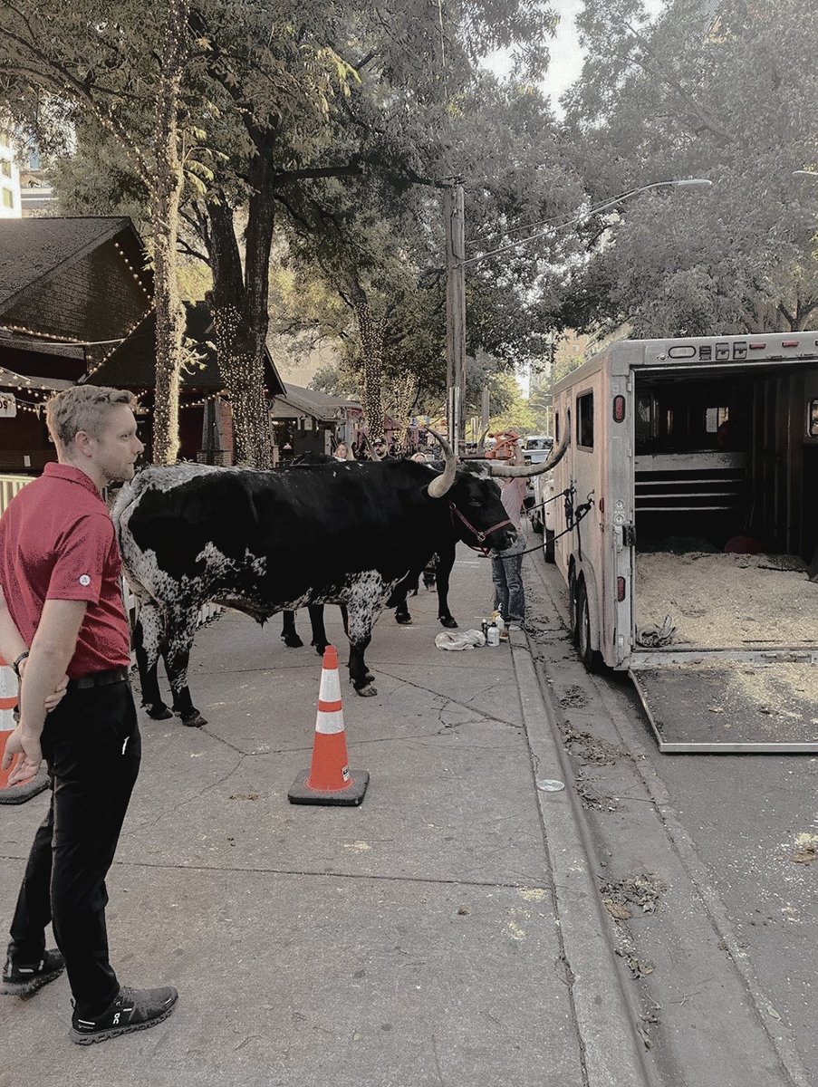 BULLSPRlNCE's tweet photo. ⠀ 
﹫𝙖𝙙𝙖𝙢𝙣𝙮𝙨𝙩𝙧𝙤𝙢  shared  a  new  post ﹕ 

” austin  dump  🤠 ”
⠀ https://t.co/yZTEBQ29tA