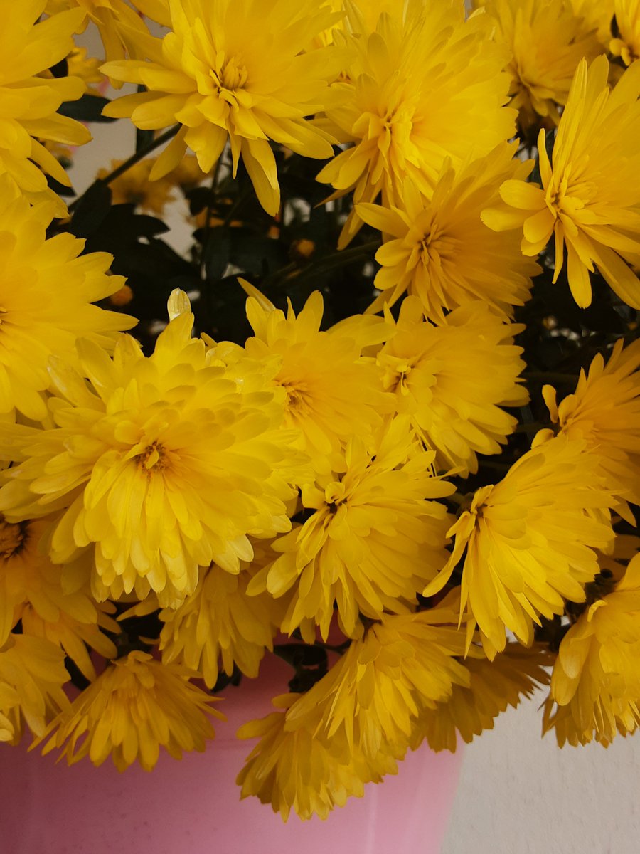 Pukelchen's tweet photo. 🎚🙏🕎❤️JESUS LIEBT,HEILT,VERGIBT, KAM AUF DIE ERDE,STARB AM KREUZ,KOMMT BALD WIEDER. BIST DU DAFÜR  BEREIT!🙏🙏🙏Ich wünsche euch einen schönen, gesegneten Abend und später eine erholsame, behütete Nachtruhe. 🙏🌜🌠🌟🕯📚💗 https://t.co/BNZ7NB3rUC