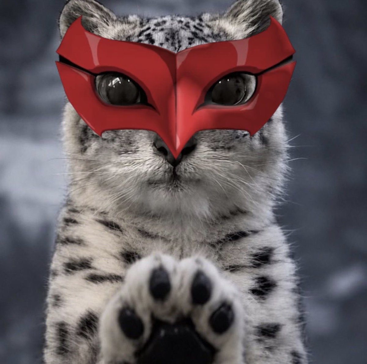 seasoverstars's tweet photo. *paws at you*
i was an undesirable child
*paws at you*
i was an undesirable child
*paws at you*
i was an undesirable child
*paws at you*
i was an undesirable child 
*paws at you*
i was an undesirable child
*paws at you*
i was an undesirable child
*paws at you* https://t.co/iwGzR3Nmkt