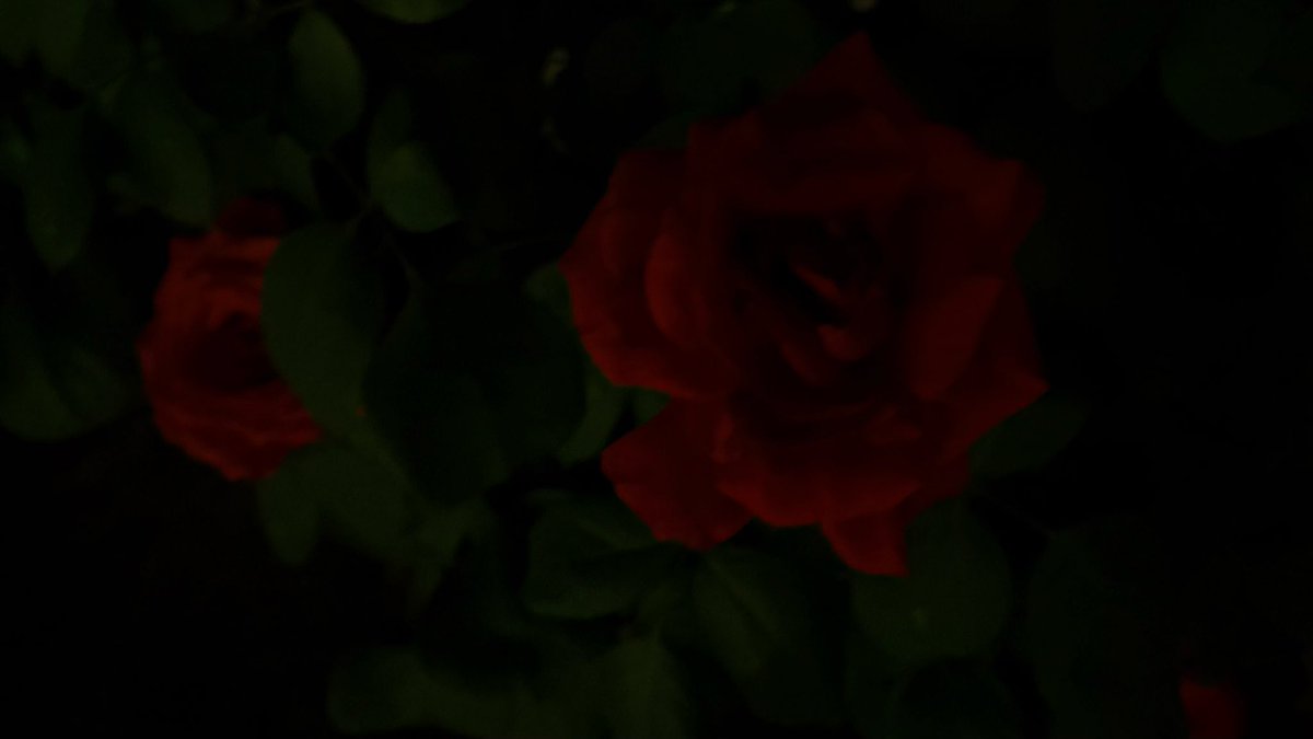 Angelsoul01_'s tweet photo. https://t.co/kViTyTSuCG