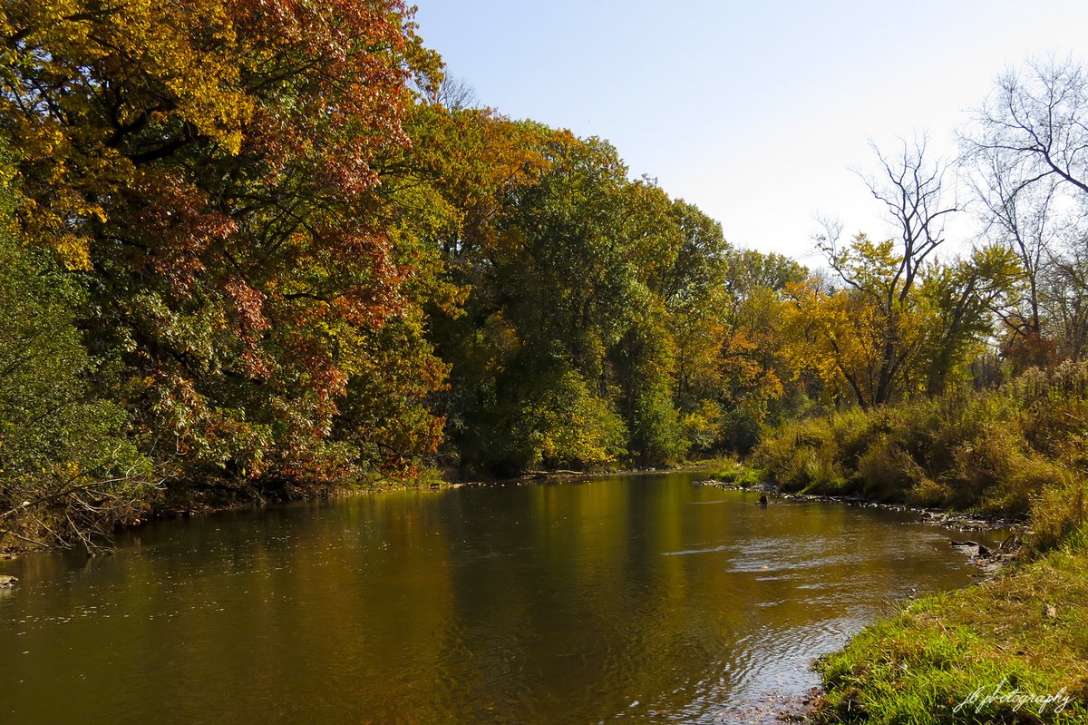 PlantNativeWI's tweet photo. It's too nice today to not get outdoors.

Root River @ Colonial Park. https://t.co/EB7JJXyoY9