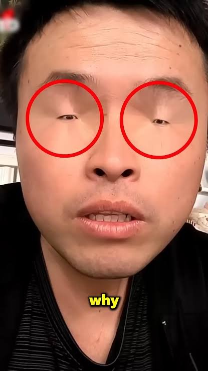 Fayyisa_'s tweet photo. @Evangel7826Lee @Mariama_ you chinks have ugly small eyes,short height,weak bodies,bad in every sport and you live in a shithole country where you use a VPN to use X 😭Blacks = tall,handsome,best athletes,michael jackson

Chinks = ugly,short,small eyes,small dick
Chinks are ants,not human https://t.co/nQxNkot3Ep