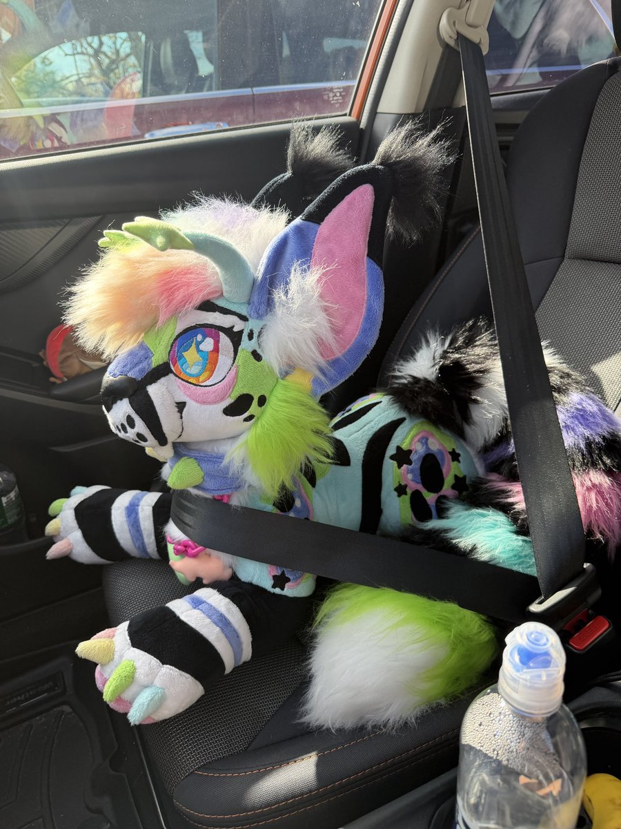 AlienSpaceCat's tweet photo. And she follows road safely laws https://t.co/ahIpqZGmoW