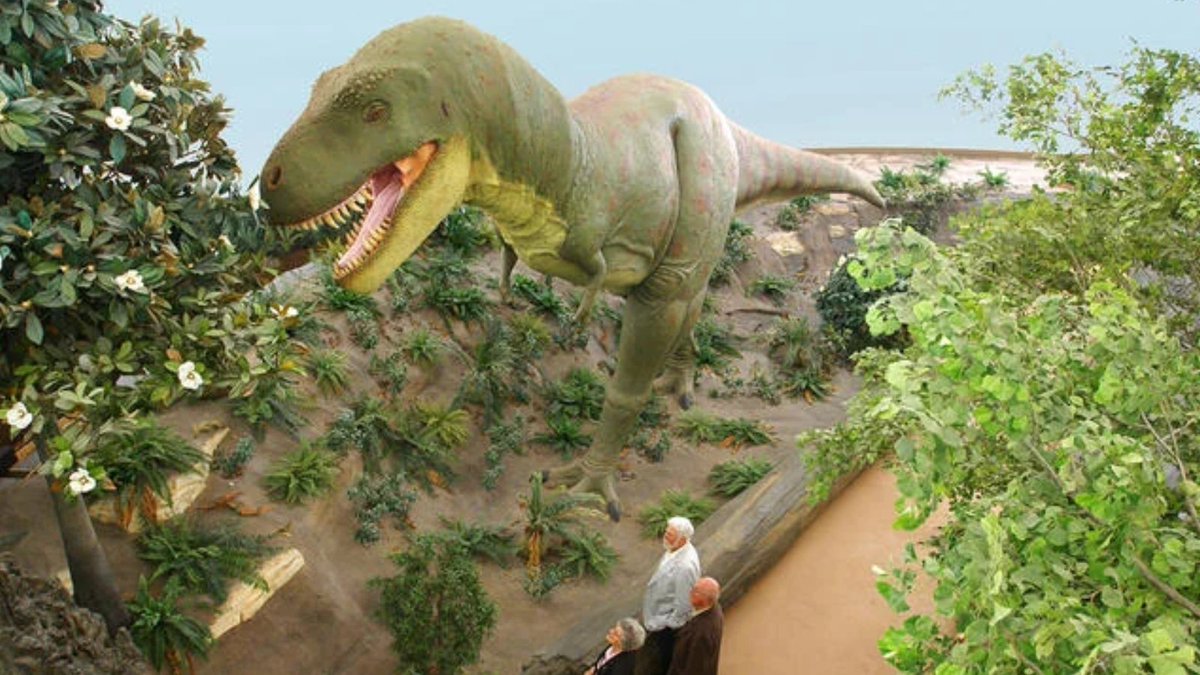 insidehighered's tweet photo. Fort Hays State Rescinds Natural History Museum Closure

FHSU’s decision to close the Sternberg Museum of Natural History sparked community outrage. The reversal offers hope to others fighting to keep the Academy of Natural Sciences at Drexel alive. https://t.co/vsBwFBWQv0 https://t.co/ugElmROdYo