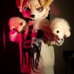 Photo by Flow the Wolf 🔜 AQF, MFF (@FlowTheWolf_)