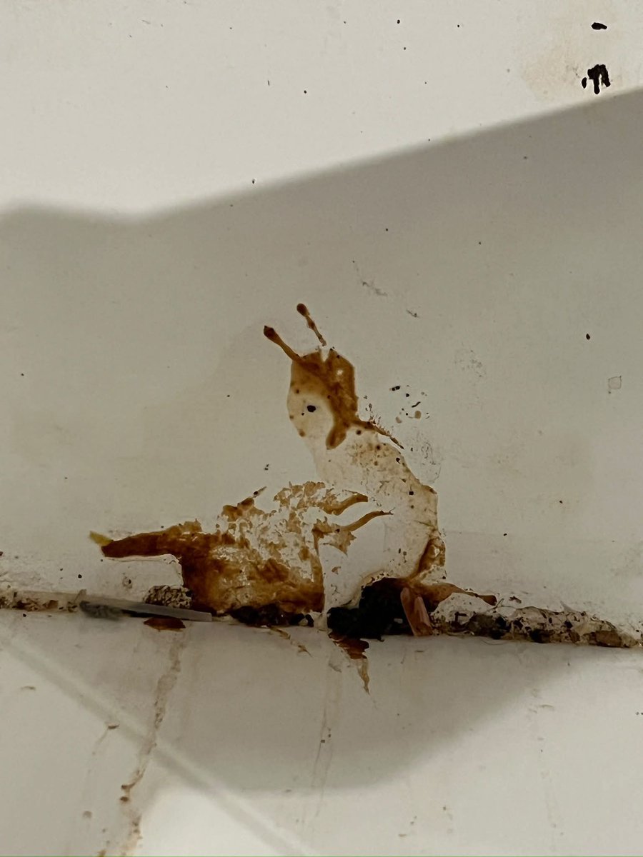 IrasReal's tweet photo. More that just a face was hiding in my trash can… what do you see? https://t.co/OoABroAgF0