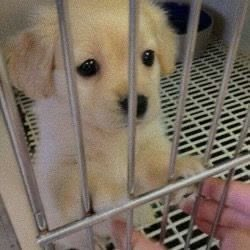 Z0MB1EGIRLZ's tweet photo. free me. im innocent https://t.co/g8sfGPsvzg