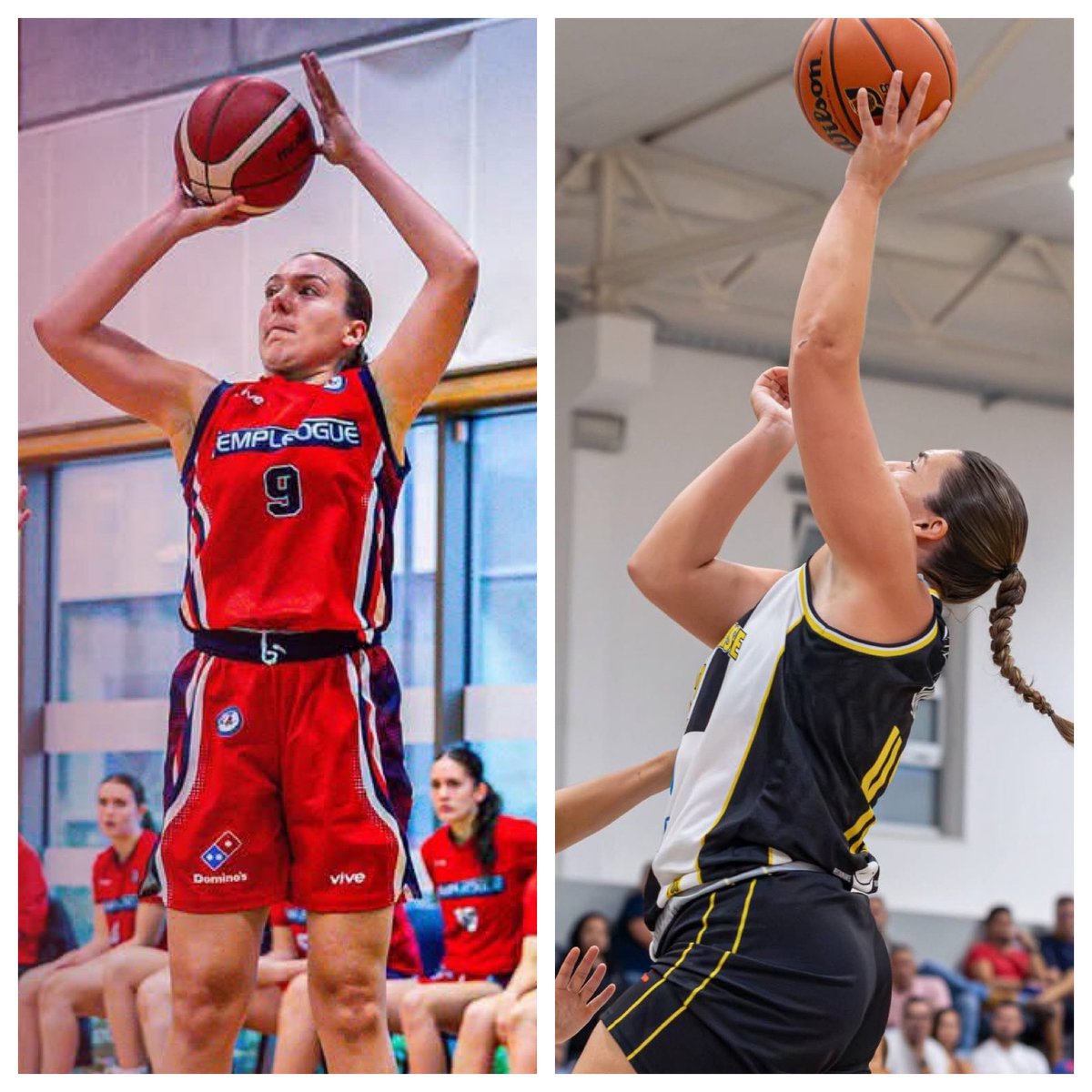 LTB_CU's tweet photo. 2️⃣ former Lady Tigers are currently living out their dreams overseas. Whitney Hay (c/o 2025) just started her first of season of professional basketball in Ireland. Kayla Luebbe (c/o 2023) signed on for a second season in Portugal. Both are absolutely killing it!!! ♥️🏀 https://t.co/GN7OzT45fv