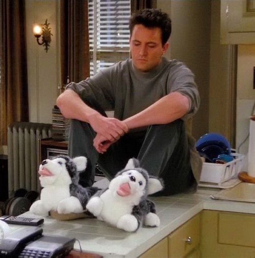 lierosahope's tweet photo. oh my beloved chandler bing https://t.co/afKOIM5uPx