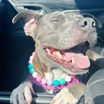 Photo by Nebraska Humane Society (@NEHumaneSociety)