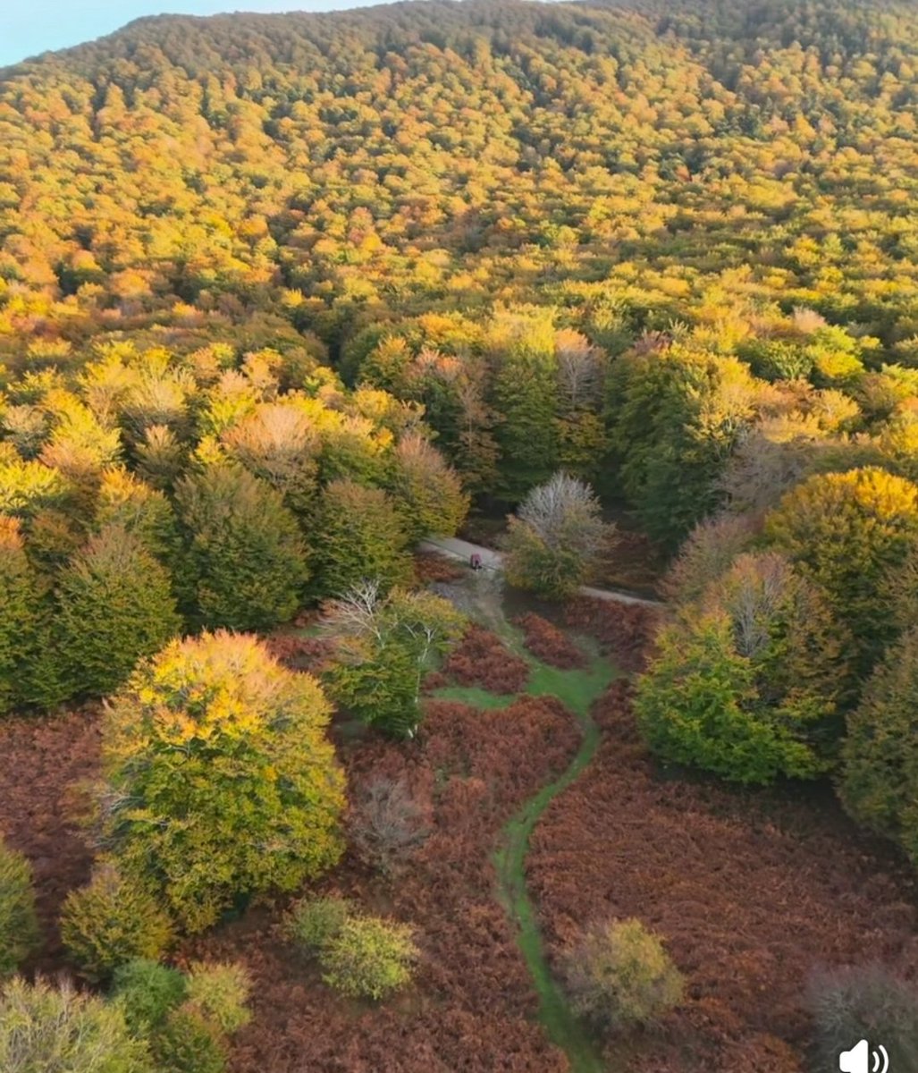 ru6549's tweet photo. Autunno in Aspromonte ❤️#ggaribaldi1993 #garibaldine #InViaggioConGaribaldi https://t.co/q1W79VilUJ
