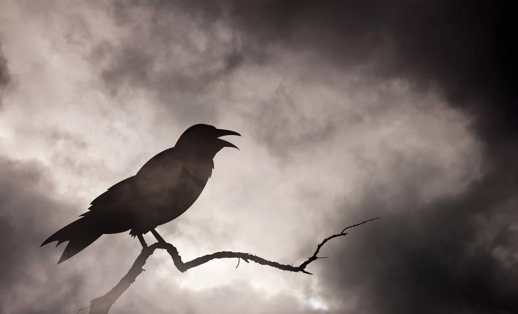 URAmintoR's tweet photo. [畑で锹を使って地ならしする、狡いカラスが木の枝をくわえて空を舞う、その様子を见上げて翘げた表情]， https://t.co/wNW100X94F