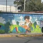 Photo by Comunidades Xochimilco (@ComuXoch)