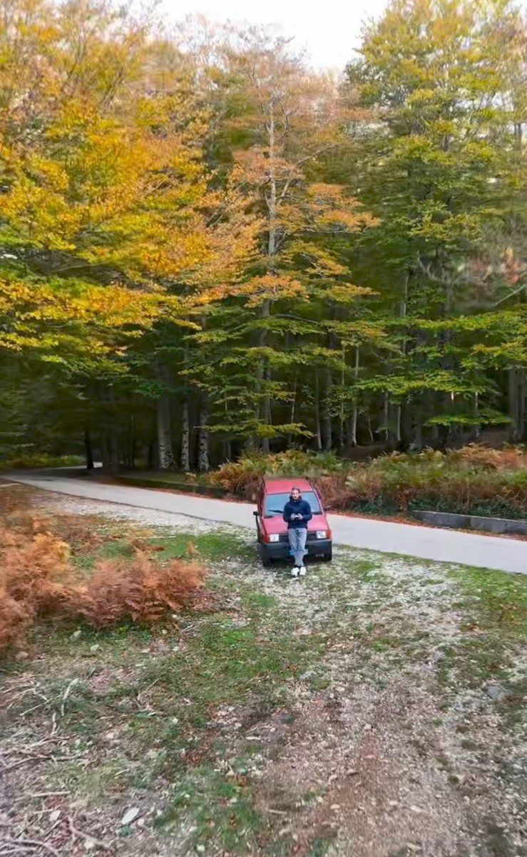 credici12's tweet photo. Nel silenzio della natura autunnale in Aspromonte colori ed immagini che emozionano 🫶❤️ #InViaggioconGaribaldi #solocosebelle #giuseppegaribaldi1993 https://t.co/V8n4PYN1jY