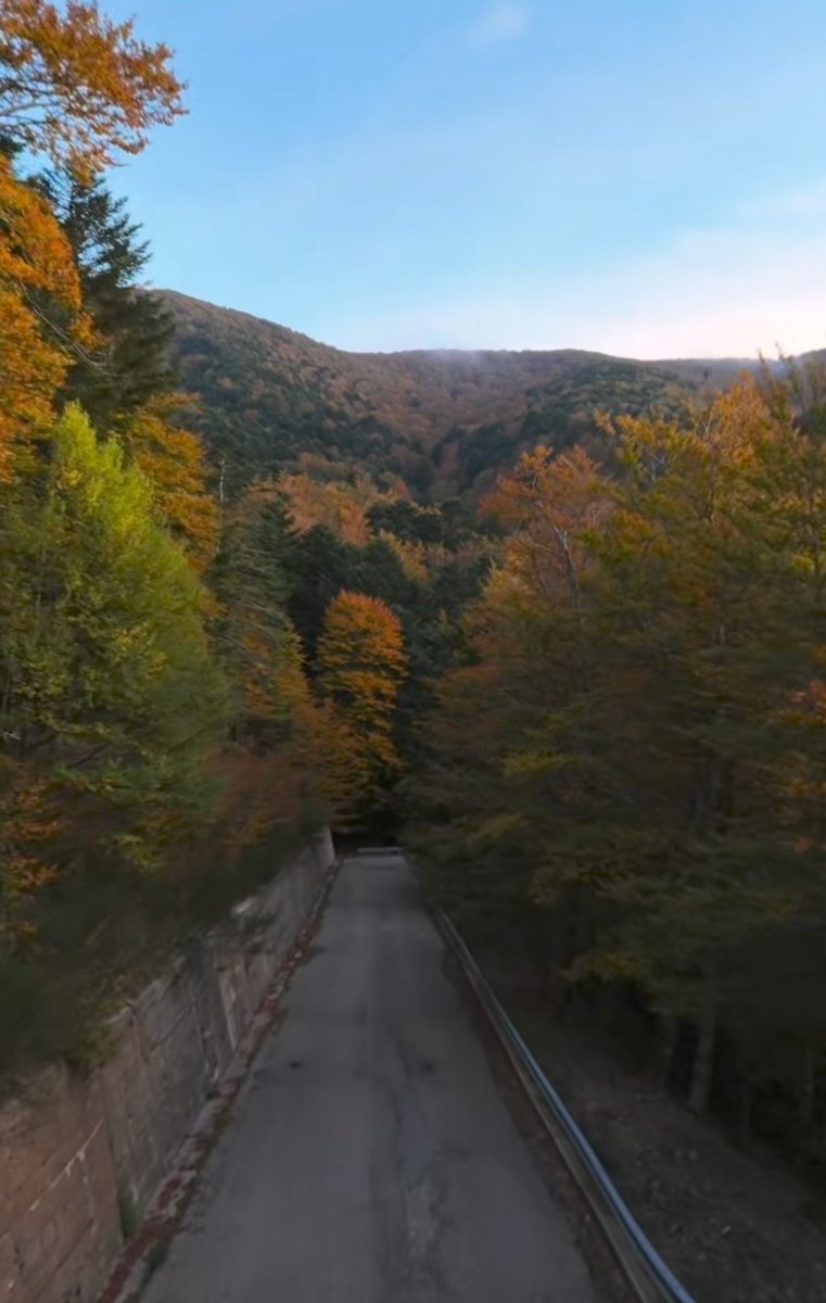 credici12's tweet photo. Nel silenzio della natura autunnale in Aspromonte colori ed immagini che emozionano 🫶❤️ #InViaggioconGaribaldi #solocosebelle #giuseppegaribaldi1993 https://t.co/V8n4PYN1jY