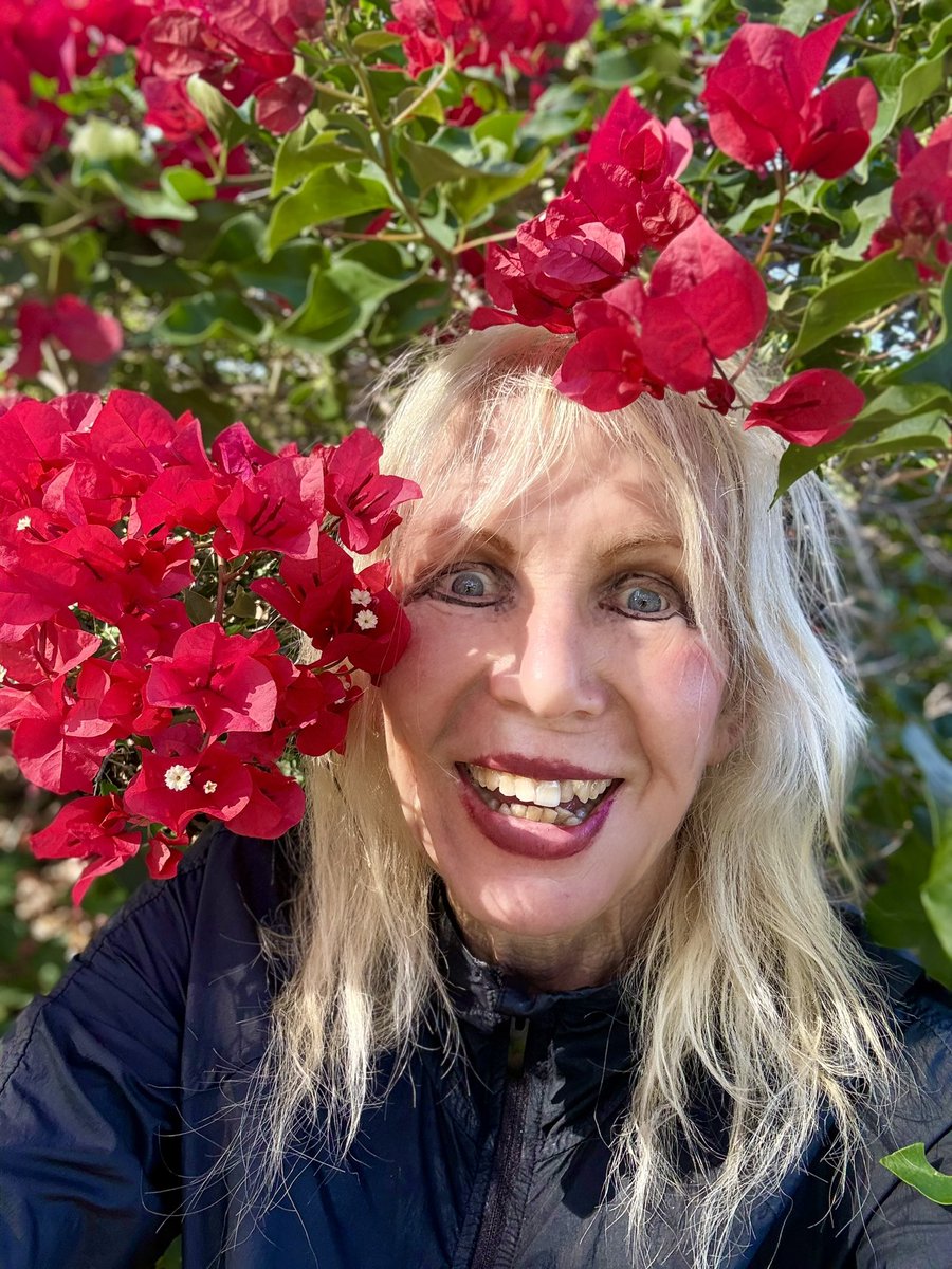 Michsteer's tweet photo. Happy Wednesday my friends! 

They say running builds character
but standing perfectly still 
In a  thorny bougainvillea 
to take a 🌸photo builds resilience! 

Great 7.5 miles and sparkly swim🧜🏽‍♀️ https://t.co/qIrvsrhTnv