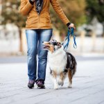 Photo by DogTipper Dog Blog (@DogTipper)