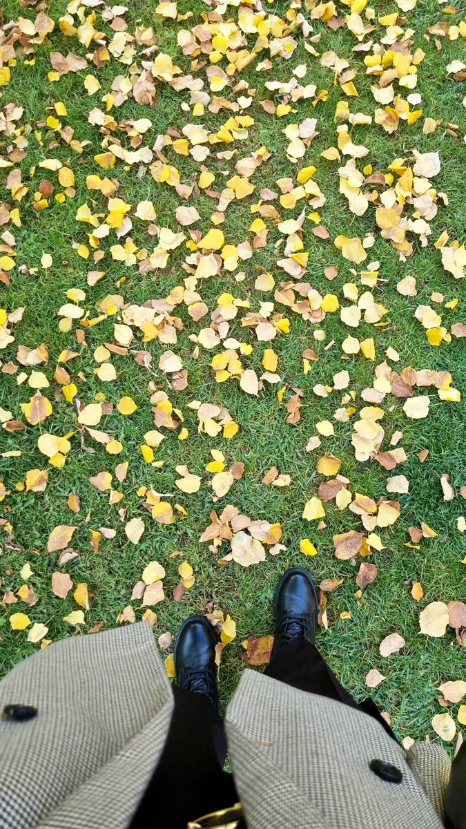 MerveeBakr's tweet photo. Şu güzelliğe bir bakın..🍂 https://t.co/gilT36q37E