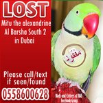 Photo by Birds and Critters of UAE (@BirdsofUAE)
