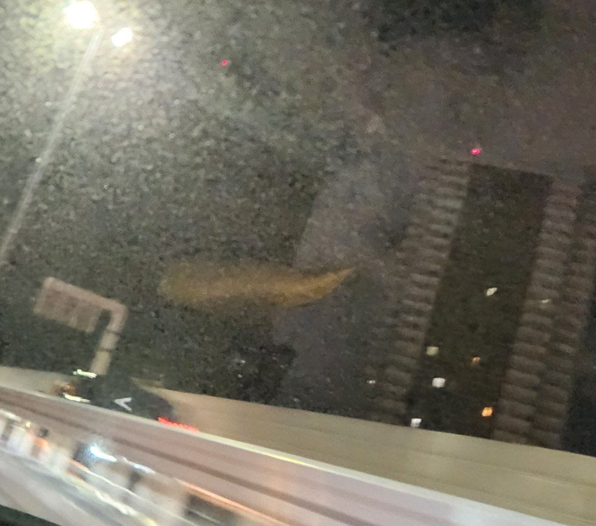 eightlien's tweet photo. ぜんぜん見えない、言葉にできない…ら～ら～ら～ららら～

#ナイスウンコ https://t.co/7slk9rrsuT