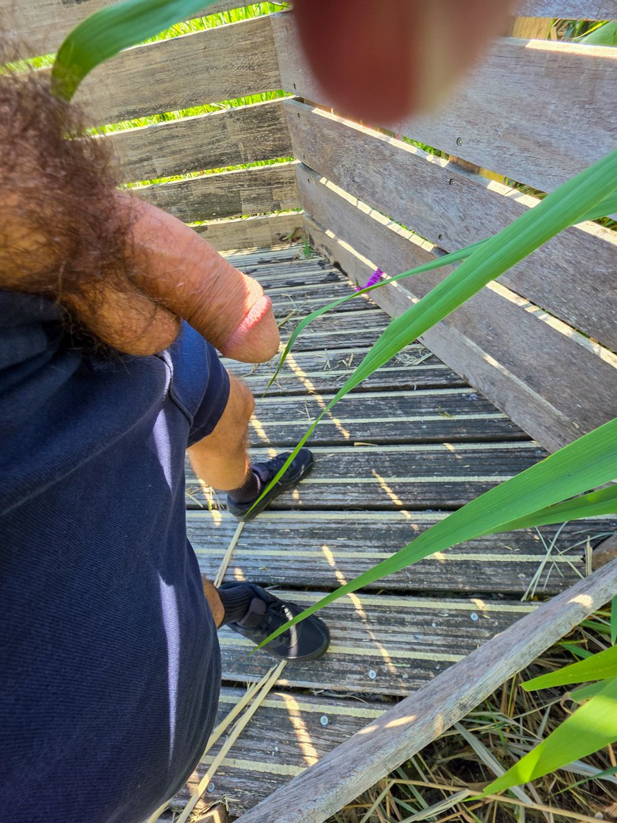 boototter's tweet photo. Will you get on your knees and be a good boy for me?  😈🔥

#hairydick #gaydaddy #peludo #malebush https://t.co/oYypaKpAYQ