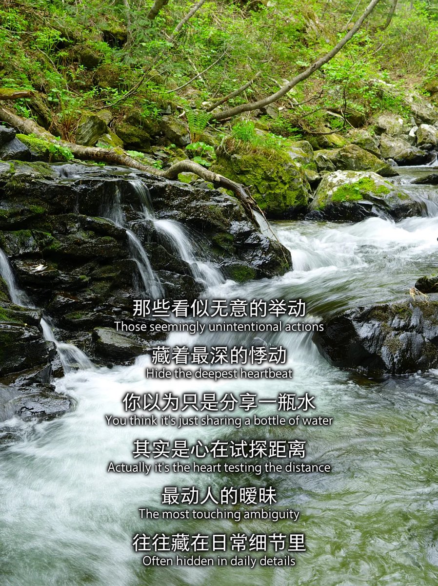 asukalishan's tweet photo. [今回の取材で、意外な場所に水が淌くのを見た！何もないと思ってた所から湧き出る様子は本当に驚いたよ。]， https://t.co/o2YHr8OMQ2