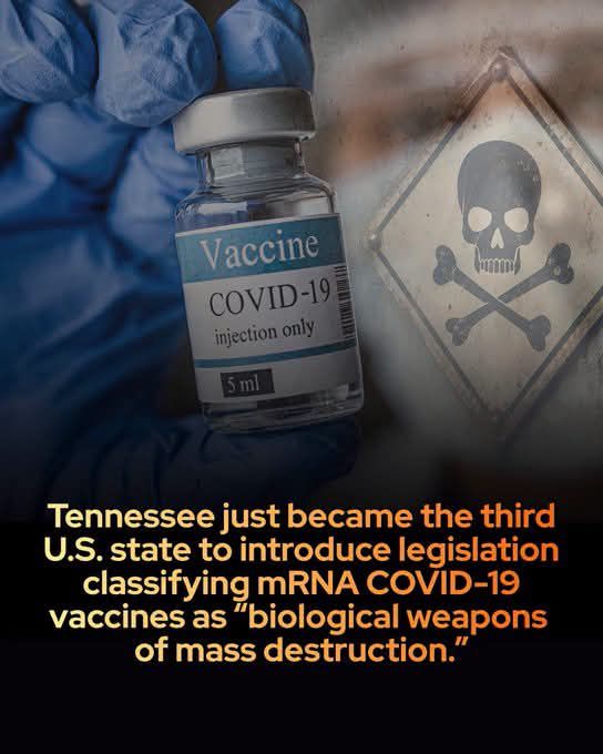 DavidWolfe's tweet photo. https://t.co/XCQl30p1Xq