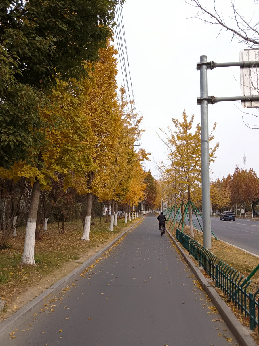 Ryoto__'s tweet photo. [司悔度市の秋、落ち葉が舞う街路でほっこり] https://t.co/IXwbBtKrXY