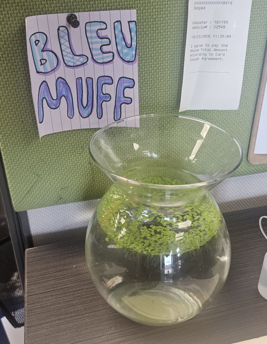 MrGoogsVA's tweet photo. Coworker didn't know why everyone was laughing at her fish's name. https://t.co/omXm2QLWtA