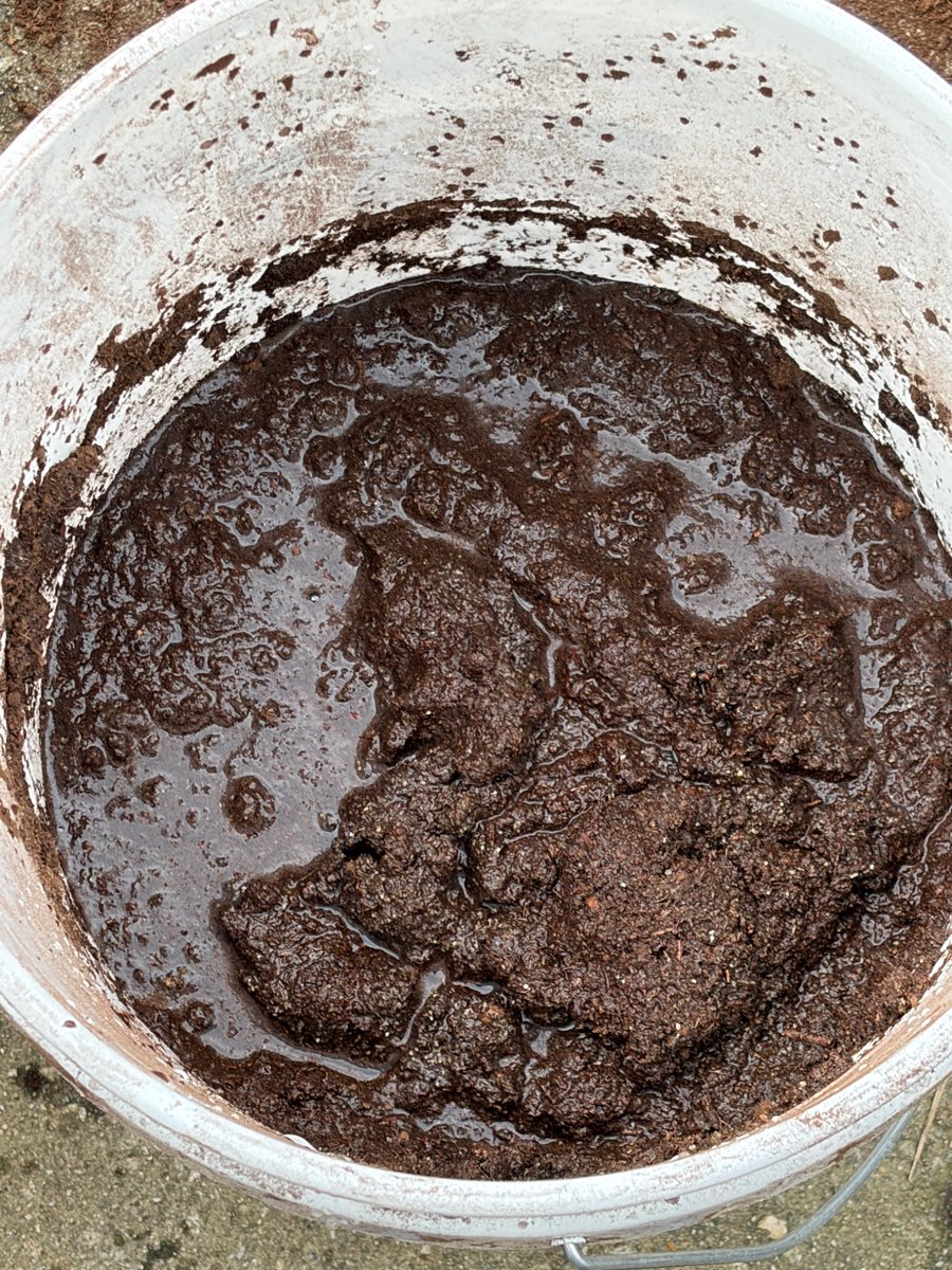 myfailsafe20's tweet photo. bucket o poop 🤤 https://t.co/M63OCC2IlV