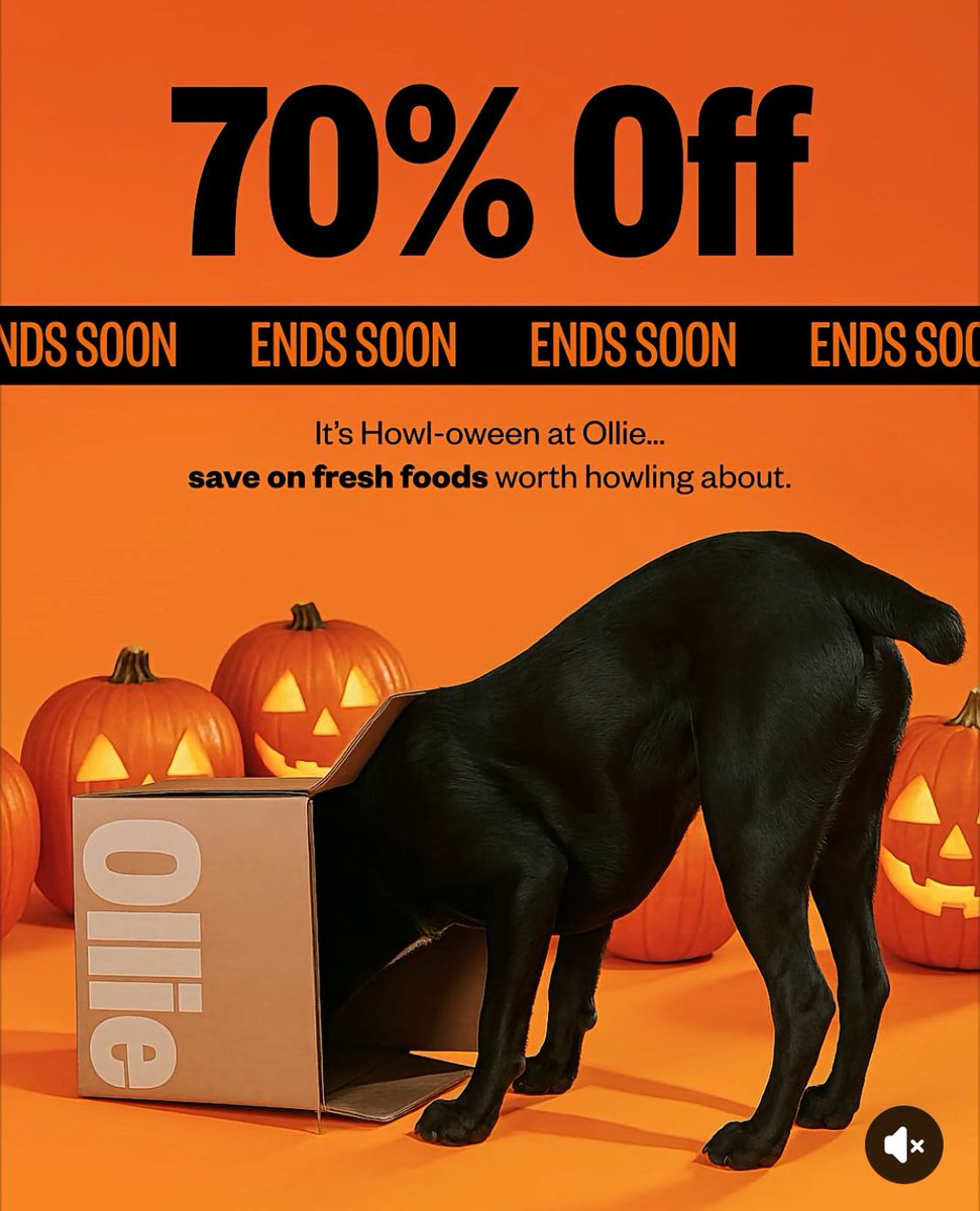 TheReviewWire's tweet photo. Get 70% OFF + a FREE Puzzler &amp; Treats 🐾 (ad) https://t.co/VZFSEyXHvh

🥩 Human-grade recipes formulated with vet nutritionists
💩Perfect poops, better digestion, shinier coat, and more
😋 Approved by even the pickiest eaters
⏳ Ends 10/31!

#FreshDogFood #HealthyDogs #Dogs https://t.co/DTDRXyK9Na