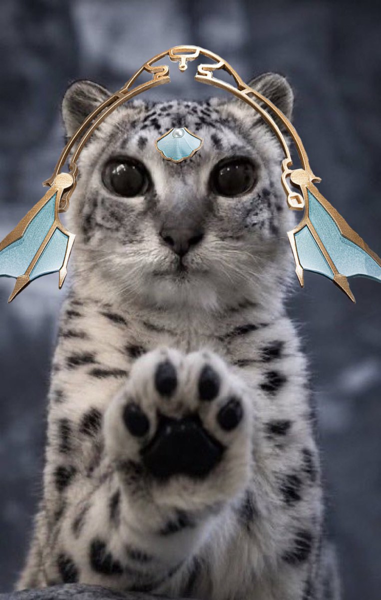 deedemegadoodo's tweet photo. *paws at you* I come to appraise
*paws at you* I come to analyze
*paws at you* I come to render
*paws at you* I weave the cosmos into brocade
*paws at you* I breath soul into painted stones
*paws at you* I let the jewels of heaven rise
*paws at you* all for the amber lord https://t.co/sZEsvYcSiZ