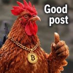 Photo by BuyTheCock- $BTC (@BuyTheCockBTC)
