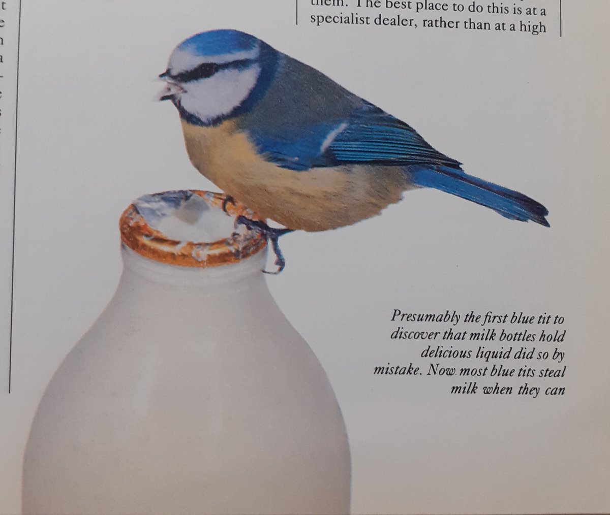 piciformes's tweet photo. unfathomable greed https://t.co/LkIOSwGOzT