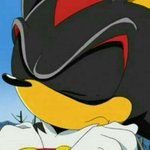 Photo by Daily Shadow the Hedgehog (@Daily_Shadow24)