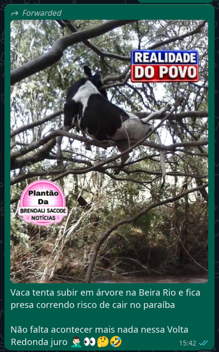 dbozito's tweet photo. @rixardoooo @ruan_campos flagra kkkkkkkkk https://t.co/e6Wm4UgNII