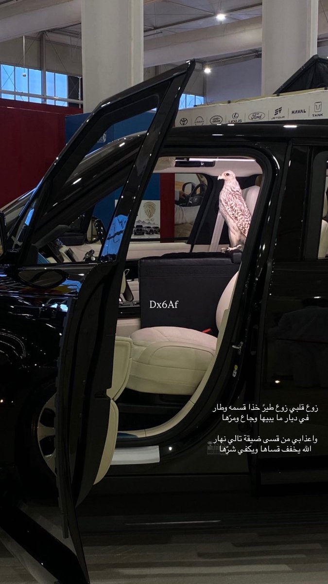 Dx6Af's tweet photo. https://t.co/GGI6i8NNOq