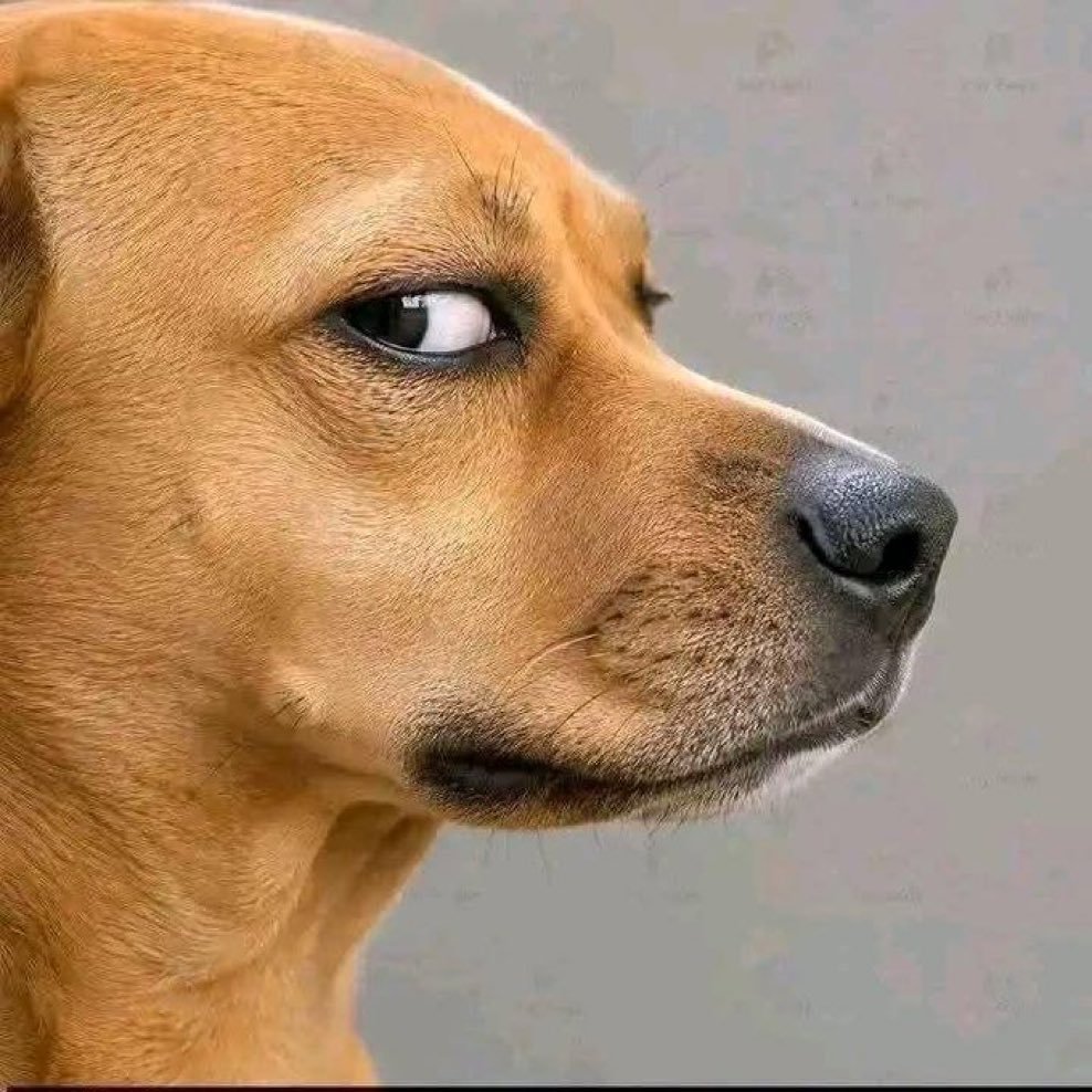Drperoxide1's tweet photo. What if it is Gen elwelu that stole bihogo that is why CDF is hard on him https://t.co/iV2tiwnaAD