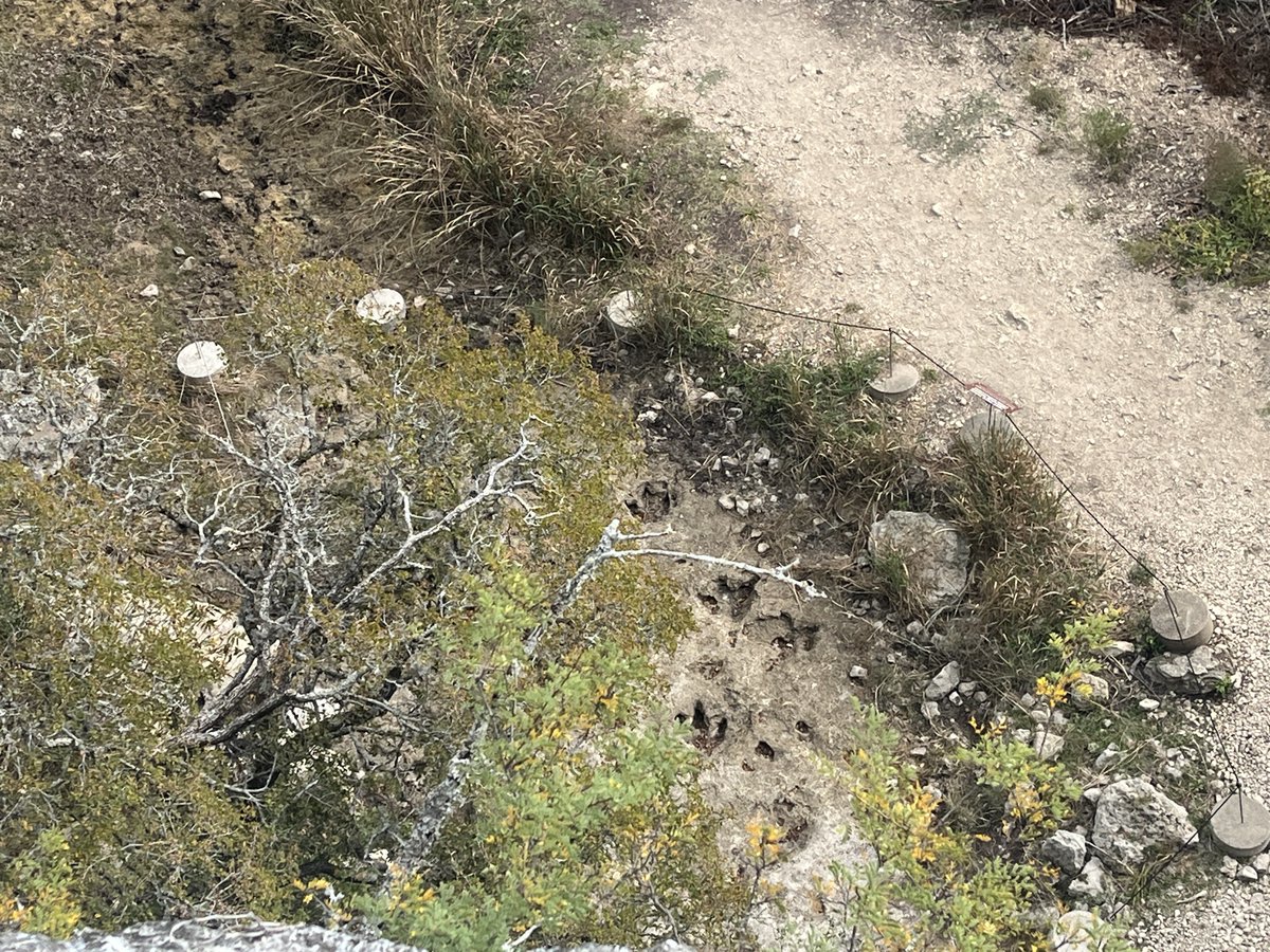 TheLongSOM's tweet photo. A journey in medicine is about more than just classes, labs, exams and rotations. It's also about community. @TheLongSOM Hiking Club hosted a 6.6 mi. hike at Government Canyon as part of ReDiscover Wellness to reconnect and unwind. Check out the dinosaur tracks! https://t.co/EcmlcwD9V5