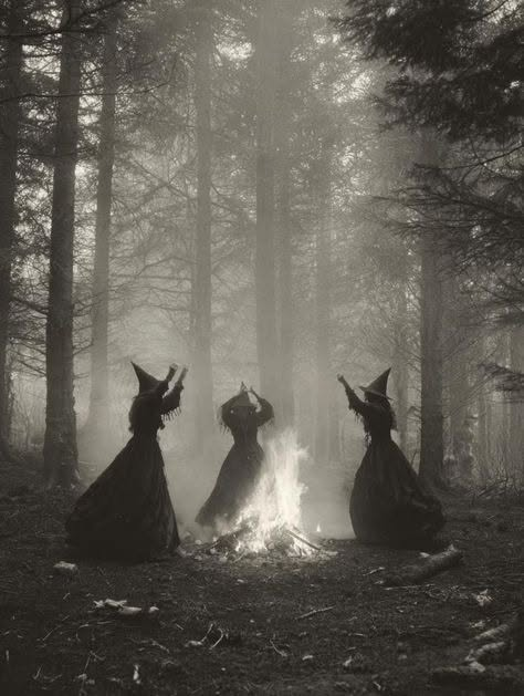 marixapanda's tweet photo. @GeorgeSchmidt67 @RavenLunachick @Noor99312 @kinky_horror @ConnieJoJo2 @SpookyHorrorGal @arosedistortion @Off2BeTheWizard @OceanTarryn_666 @Wicked666Rocker @slytherinvixen @KimberlyKe78712 https://t.co/bq5NOoAzEd