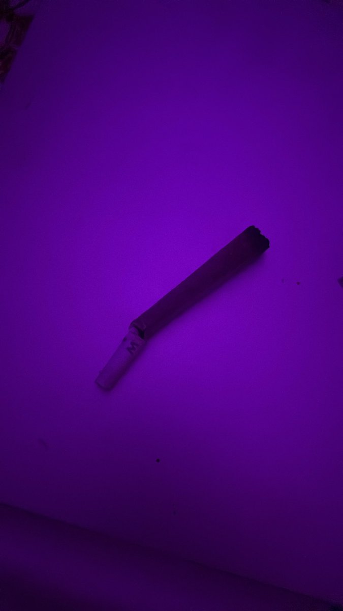 sq1xy3's tweet photo. Well fuck me ig https://t.co/vTj9JGn8Pi