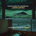 Photo by Fikriyat (@fikriyatcom)